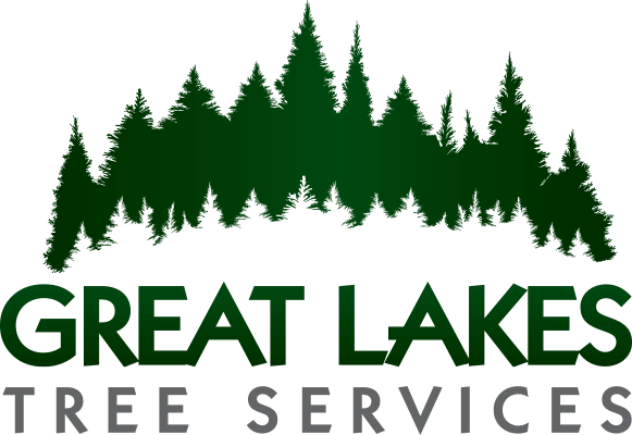 great lakes logo
