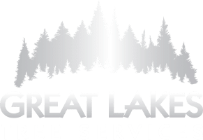 great lakes logo white